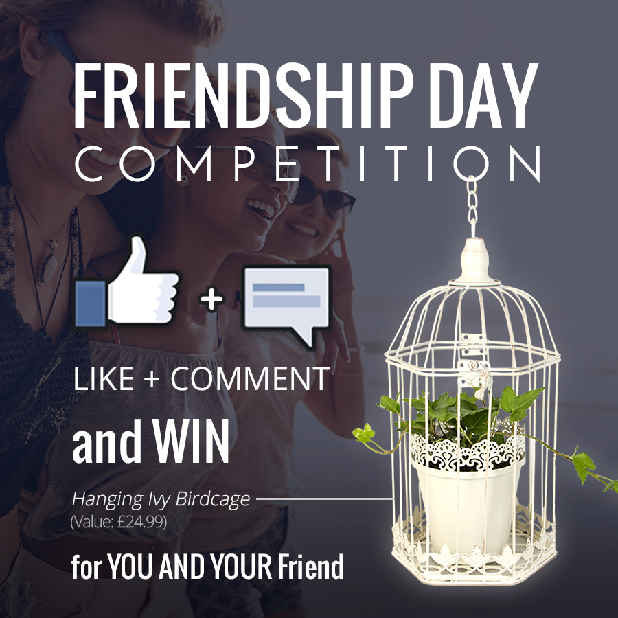 friendship day competition